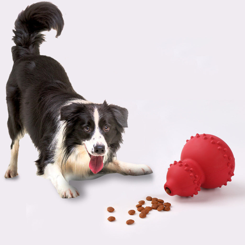 Natural Rubber Gourd Dog Treat Dispenser & Slow Feeder Toy