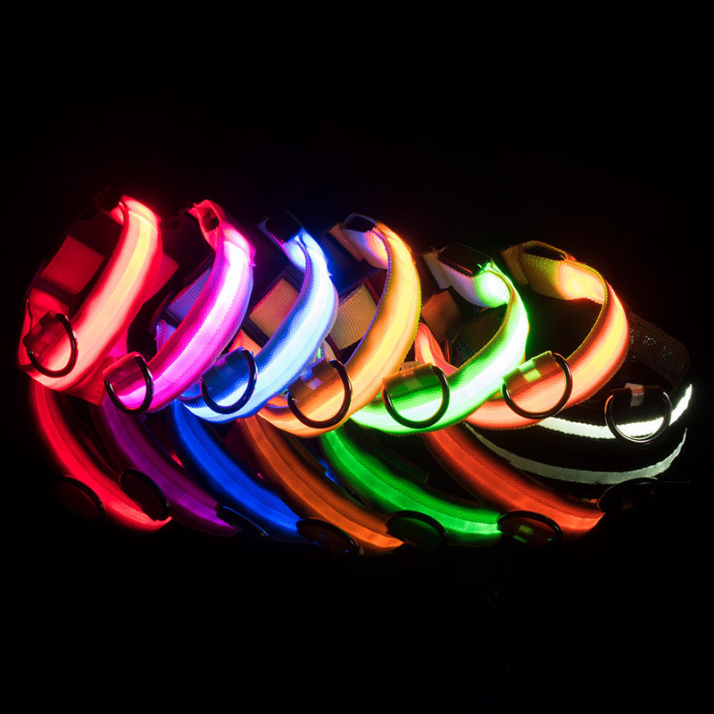 Adjustable Light Up Dog Collar - USB Rechargeable Luminous Nylon Collar