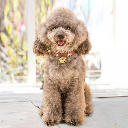 Cute Pet Collar with Brass Bell - Adjustable PU Leather Dog Collar